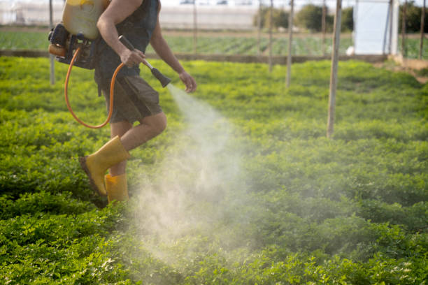 Best Emergency Pest Control  in Greeley, CO