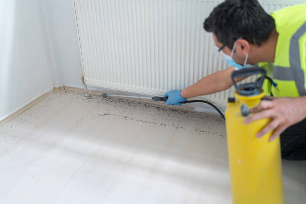 Best Pest Control Near Me  in Greeley, CO
